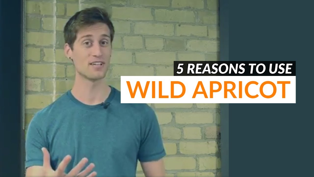 5 Reasons Wild Apricot is the #1 Nonprofit Software