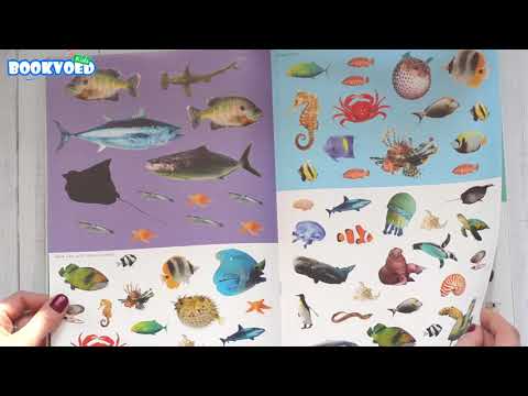 Видео обзор Ocean Creatures