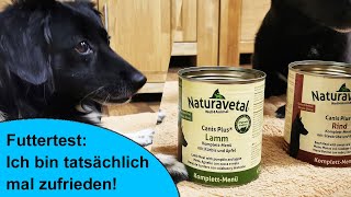 Gutes  Hundefutter gesucht? Naturavetal ist einen Blick wert! Lamm Komplet Menü im Futtermittel-Test