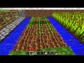 How to Plant Wheat in Minecraft