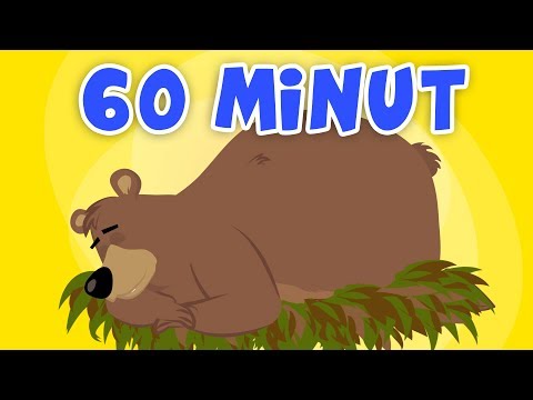 MIX - STARY NIEDŹWIEDŹ MOCNO ŚPI - ŚPIEWAJĄCE BRZDĄCE | GODZINA PIOSENEK DLA DZIECI 😎😆😍