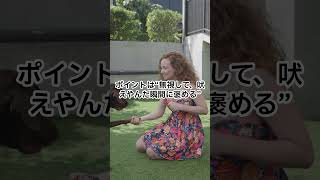 吠えた犬を怒るのは逆効果！？今日からできる正しいしつけ法！【保存推奨】