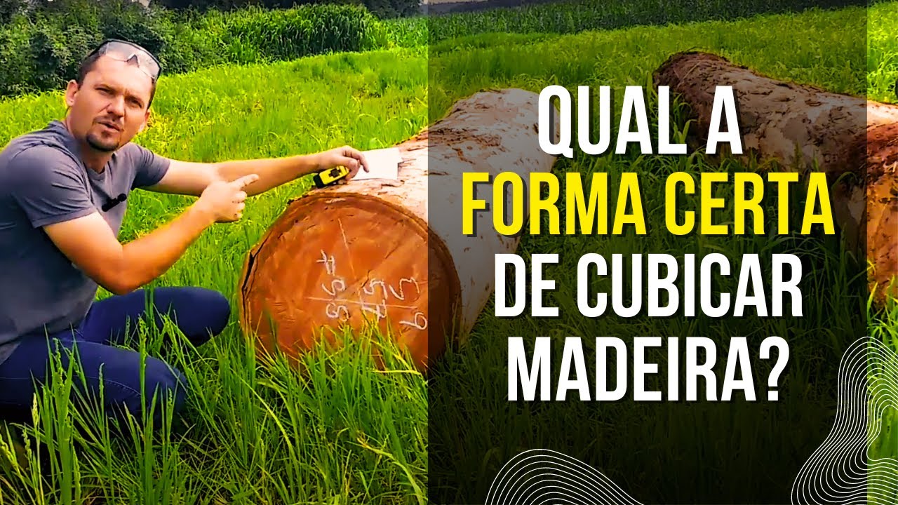 Qual é a forma certa de cubicar madeira?
