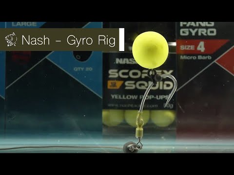 Gyro Rig