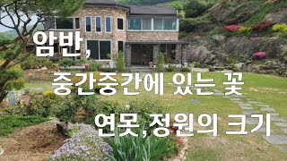 암반, 중간중간에 있는꽃 ..연못,정원의 크기...500평의 우아한 정원