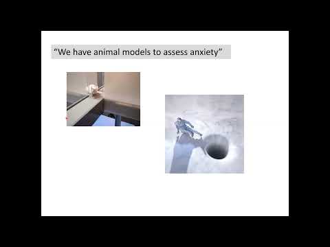 Innovators in Cog Neuro - Bita Moghaddam (3/16/2022)