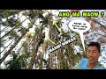 Ang Ma Maow Patwi Ni Pwisa Jwng No Lugwn