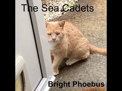 Thumbnail for The Sea Cadets - Bright Phoebus by Lal Waterson