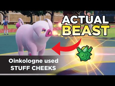 Click to play Video