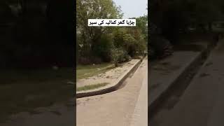 Download lagu #kamalia #wildlife #park #zoo #eid mp3