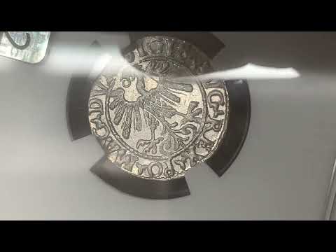 Zygmunt II August, Półgrosz Wilno 1559 -