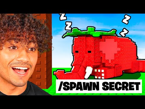 ABUSING ADMIN COMMANDS IN DON'T WAKE THE BRAINROT..