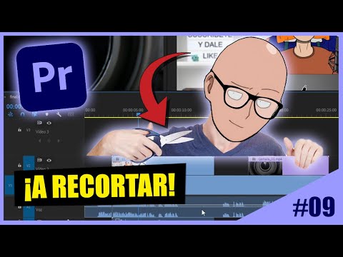 Miniatura del vídeo