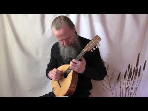 Pii, pii, pikkuinen lintu (Suomalainen kansanlaulu) – Toomas Rannu (mandoliini) #mandolin