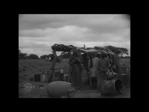 Ferrocarril Ramal Metileo-Arizona (1927) | Dir. Domingo M. Filippini