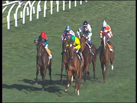 Galoppo 20/02/2016 - 2° corsa