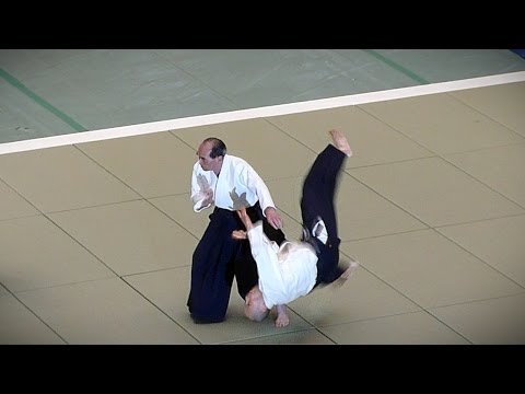 Aikido - Tada Hiroshi Shihan - 51st All Japan Aikido Demonstration 2013