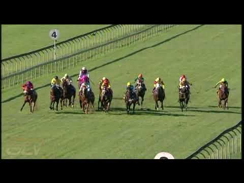 20210404 Hollywoodbets Scottsville express clip Race 8 won by PRINCEKRESH