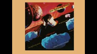 10 The Lightning Seeds / The Price