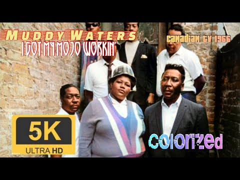 I Got my Mojo Workin' - Muddy Waters | Colorized | 5K | 60fps