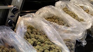 STRAIN REVIEW RS11 vs RS37