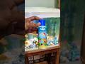 Aquarium Cleaning ️