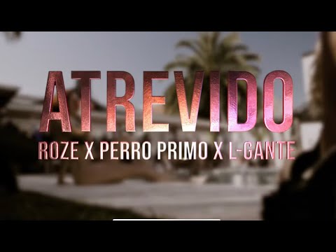 ATREVIDO - Roze x Perro Primo x L-Gante