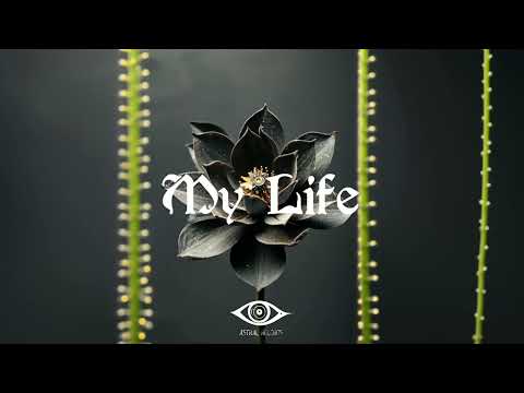 Trevizan - My life (Original Mix)