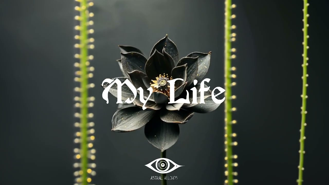 Trevizan - My life (Original Mix)