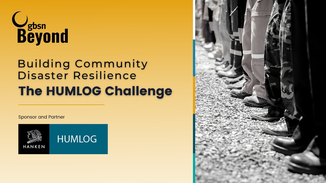 Building Disaster Resilience: The HUMLOG Challenge