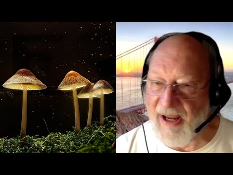 Why did psilocybin mushrooms evolve to be psychedelic? with Dennis McKenna | Living Mirrors #19 clip