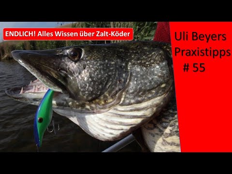 Zalt - Wobbler: Selection, use and chances of success