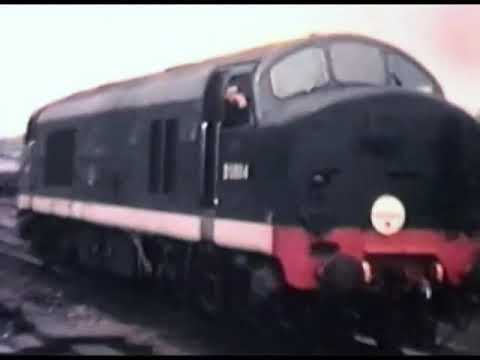 Baby Deltics at Finsbury Park in 1959