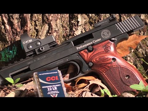 Gun Overview/Features