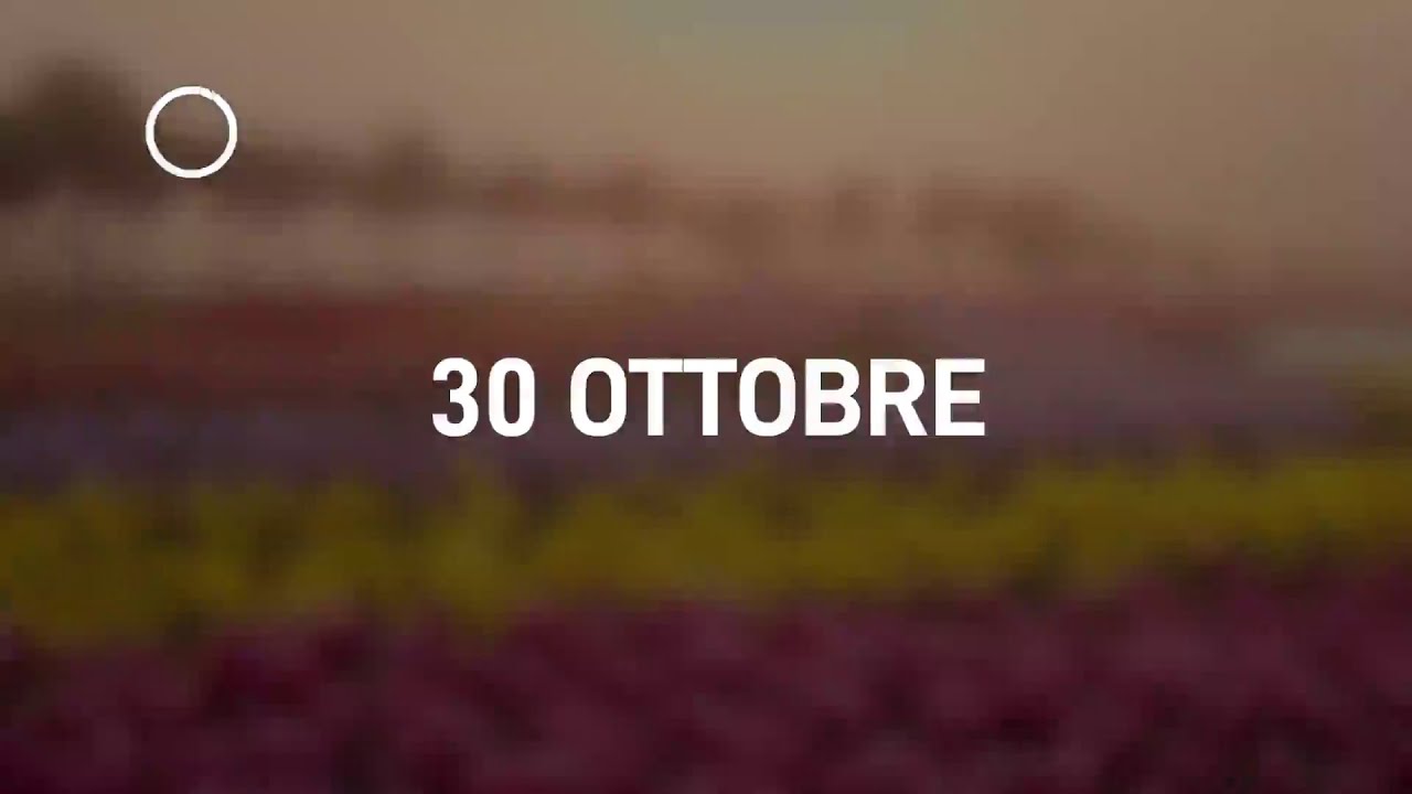 30 Ottobre 2024 | Meditazione Parole di Vita