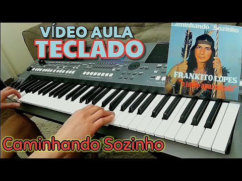 Caminhando sozinho - Frankito Lopes