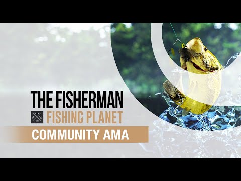 The Fisherman - Fishing Planet | Developer AMA thumbnail