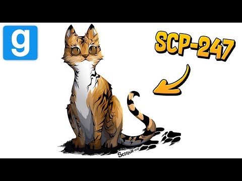 SCP RP // SCP-247 LE CHAT TIGRÉ !! - Garry's Mod