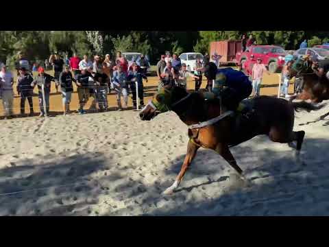 desconfiado vs lucero