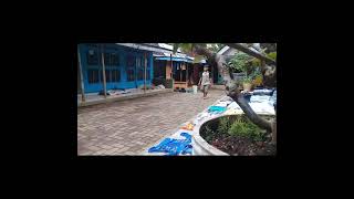 Download lagu lomba lari lucu😂😂 mp3