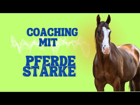 Episode 08: Female Leadership & Pferdestärke – Wie das Leitstutenprinzip Führung revolutioniert