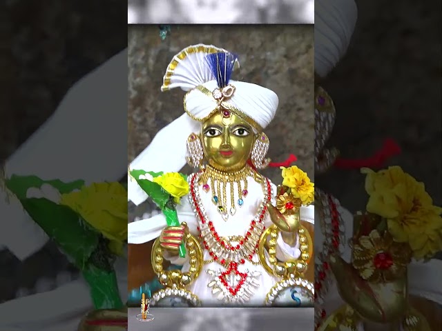 Harikrushna Maharaj