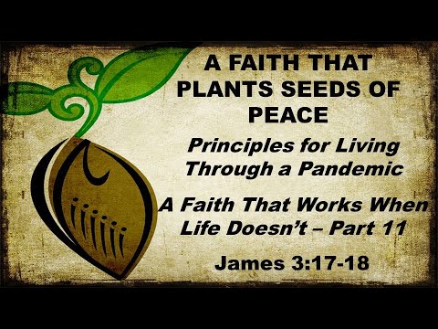 A Faith That Plants Seeds of Peace (6/28/2020)