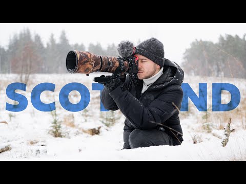 It was better than I expected | Wildlife Photography | Scotland series part I.