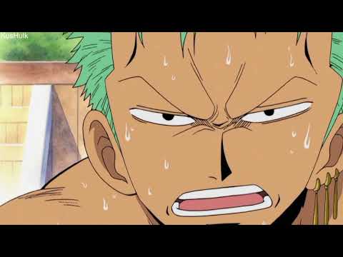 3rd YouTube video about how much can zoro lift