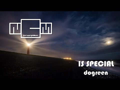 IS SPECIAL | Dogreen | No Copyright Music