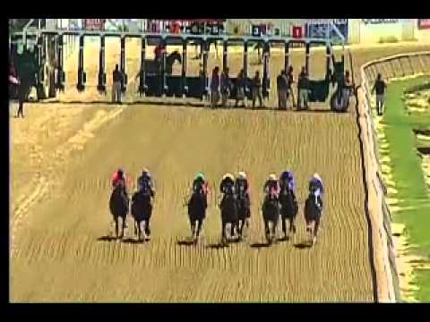 Pimlico 05/22/15 race 4