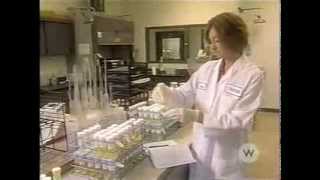 The Black Halos - The Shopping Bags