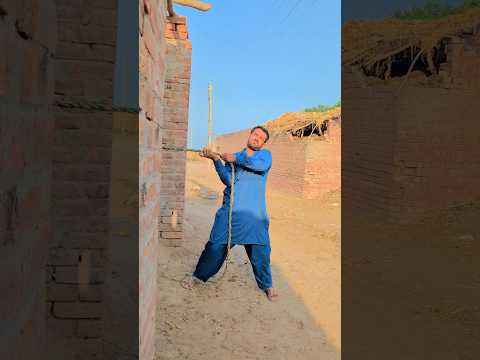 #bakraeid #animalshorts #shortvideo #trendingshorts