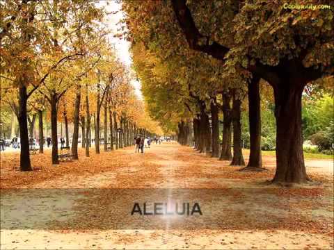 download lagu mp3 mp4 Pai Eu Quero Te Adorar, download lagu Pai Eu Quero Te Adorar gratis, unduh video klip Pai Eu Quero Te Adorar